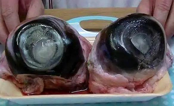 奶酪|世界10大黑暗料理，我国美食榜上有名，看完你认为哪里口味最重