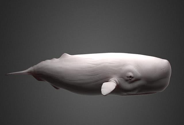 「潜艇」为何鲸鱼能够下潜到海底几千米，而人类钢铁做的潜艇只能下潜千米