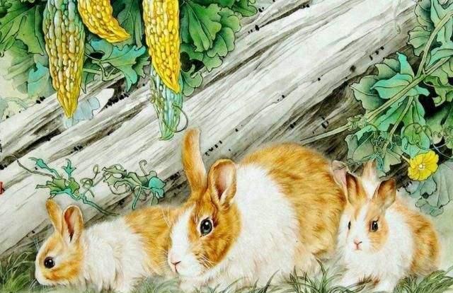 「属兔」属兔人:今天过后,有“爆炸”喜事,赶快通知他!