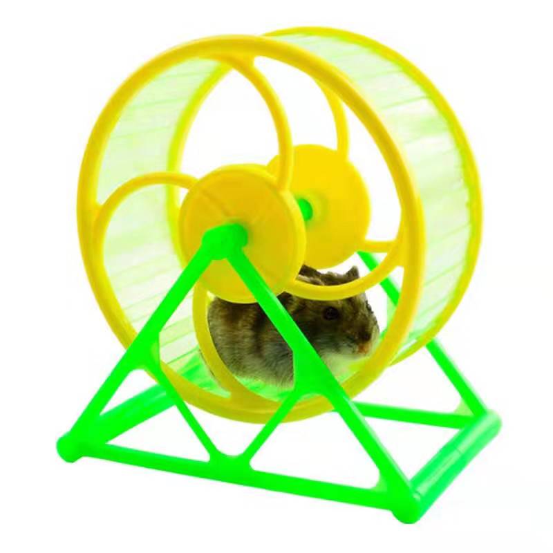 仓鼠这么可爱，我们就养它吧，oh yes