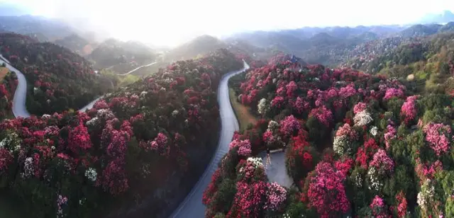 梯田|适合国庆假期穷游的地方，梯田、瀑布、樱花、峡谷，风景优美宁静