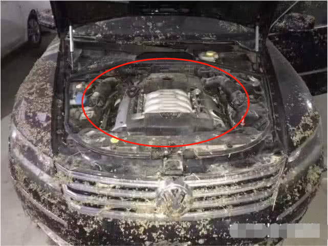 『卡宴』男子10万买泡水辉腾,维修师傅看后笑了:中500万彩票的运气