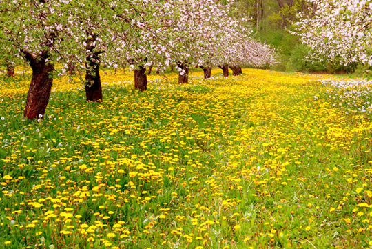 「运势」5月10号起,4属相运势一顺百顺,财源滚滚,喜事连连,心想事成