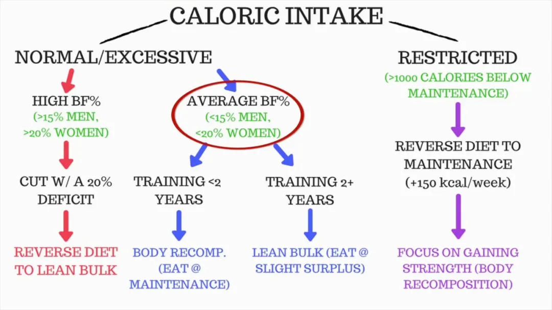 [蛋白质]“瘦胖子”怎么瘦？