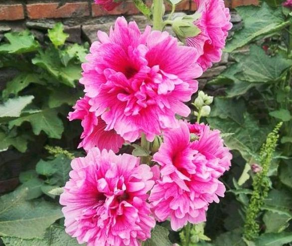 巨蟹座▲未来十天,岁月如歌,情势澎湃,摆明爱意,爱情再次回归