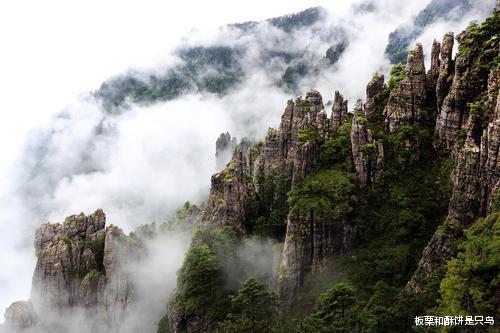 神农架|野生白化动物稀少，为什么在神农架成批出现？到现在已发现20多种