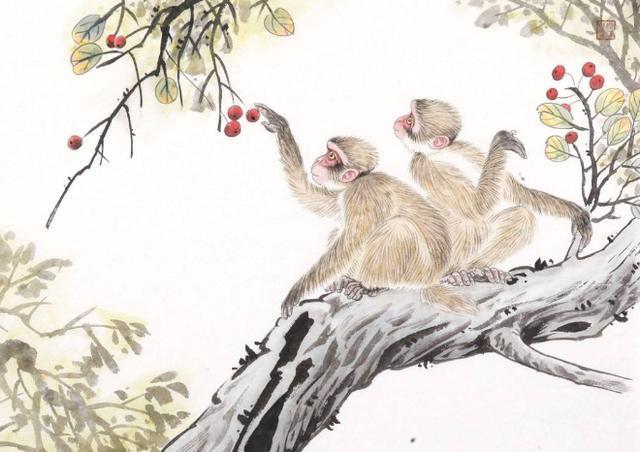 #生肖#钱财多,寿命长,越活越年轻的三个生肖,有你吗?