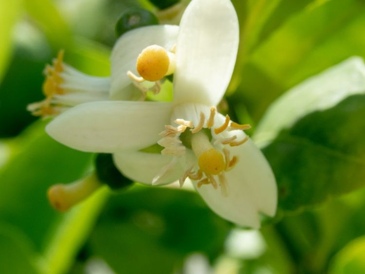 『运势』6月下旬财从天降，喜从天降，好运不断，横财不断的四属相