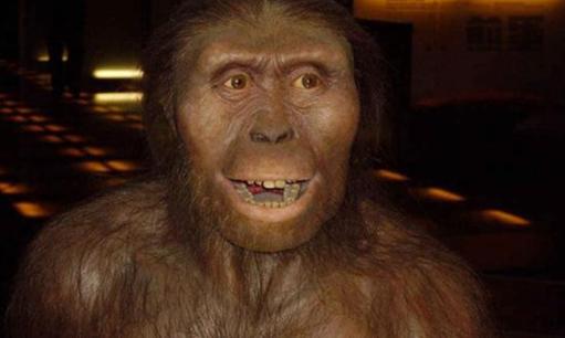 恐龙|人类的祖先竟是“老鼠”，曾与恐龙活在同一时代，成功度过大灭绝