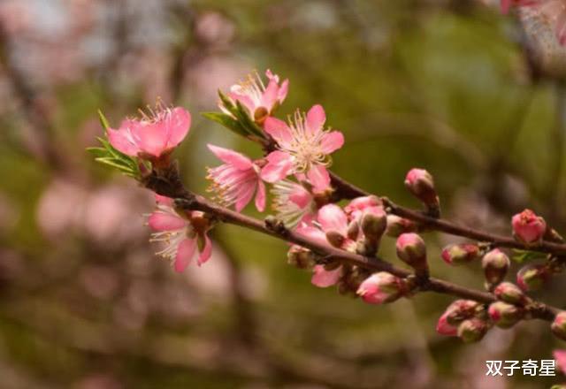 生肖@未来二十天贵人指点，财运上升，存款翻倍，日子舒适惬意的星座