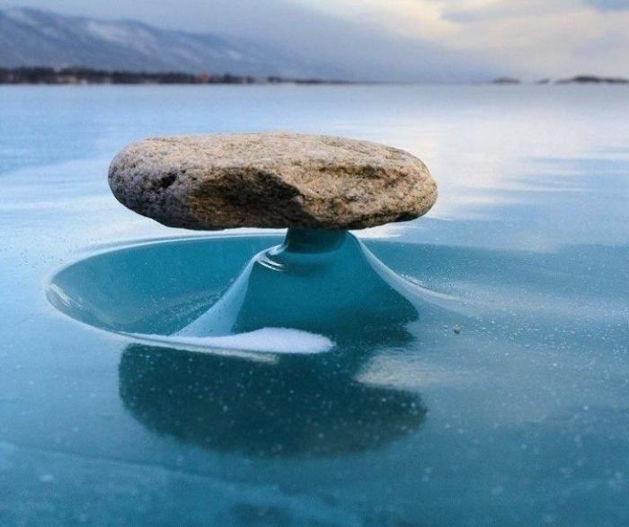 蜘蛛:22张证明「世界比你想像中更诡异」的大自然惊奇照:蜘蛛网变成巨大拉链!