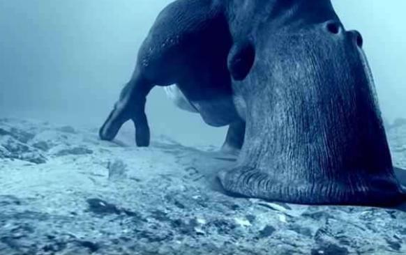 冥王星|新视野号在宇宙中发现“超大型生物”，外星生物真的存在？