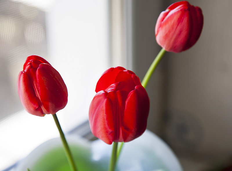 生肖|7月底开门迎财神，真爱找上门，财喜双收，喜上加喜的3生肖