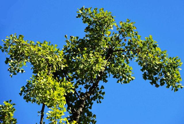 [生肖]下周起，喜事出现，财运爆发的3个生肖