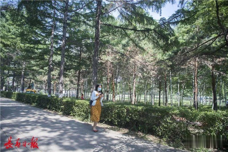 #地方时政#南湖公园15天后又有大变化！