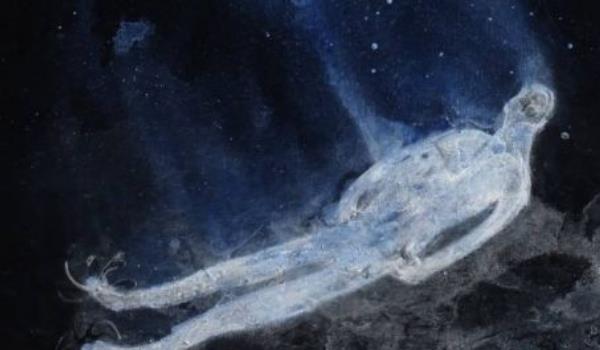 科学家▲人死后去了哪里？美国科学家公布真相，原来在另一个世界活着？