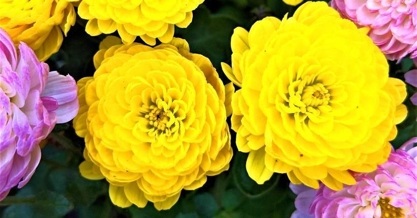 运势|9月底，四生肖好运伴身，财运攀升，金库大爆仓