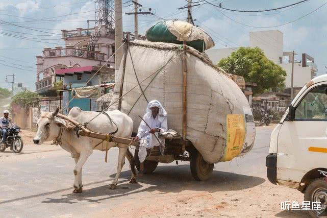 【生肖】喜从天降，6月吉星高照，咸鱼翻身的4生肖，财源滚滚来