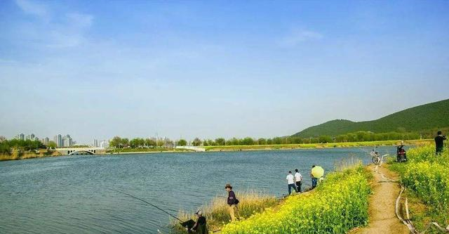 ：仲春鲫鱼不好钓5个正反向选择，让春钓鲫鱼不再难