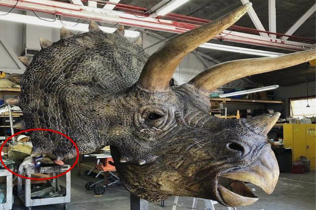 #恐龙#《侏罗纪世界3》战神三角龙上线，双脊龙抢镜，好期待恐龙进城