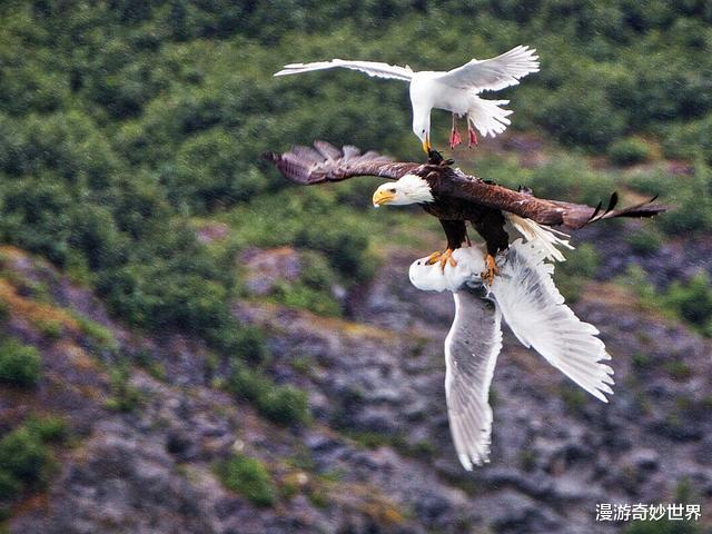 「」大自然可怕的一面，看得身体发凉！