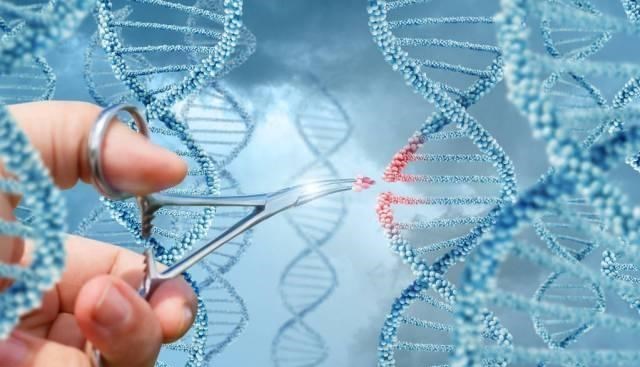 科学家|以下三个科技，人类只要全部掌握，就有可能迈入高级文明行列