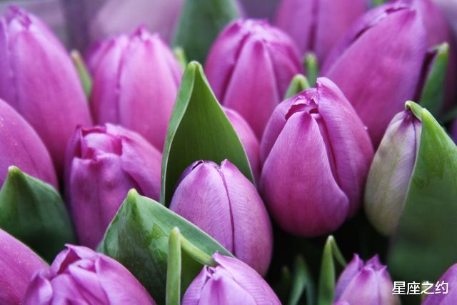 天蝎座：从6月份开始，月老牵线，红鸾心动，佳偶天成的三大星座