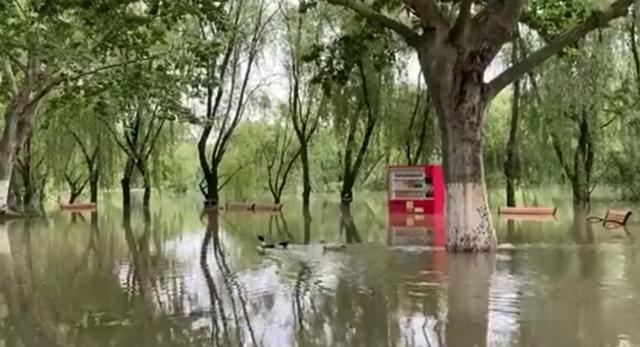 鄱阳湖|破10！自三峡蓄水以来首次