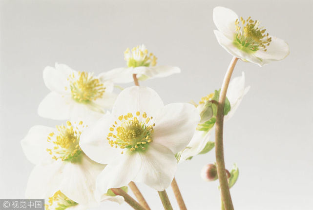 #生肖#7月紫气东来,祥云高照,3个生肖桃花财运双双旺!