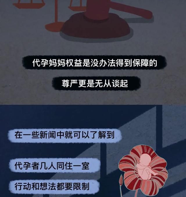 郑爽|为郑爽代孕的那个女子还好吗？