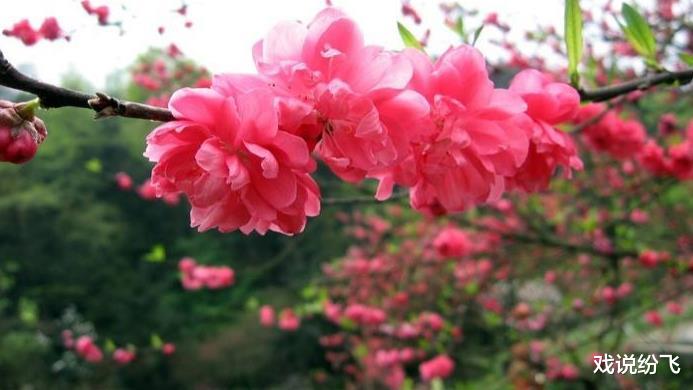 「」6月30号，此3大生肖迎来贵人，运势越来越顺，经济压力减小