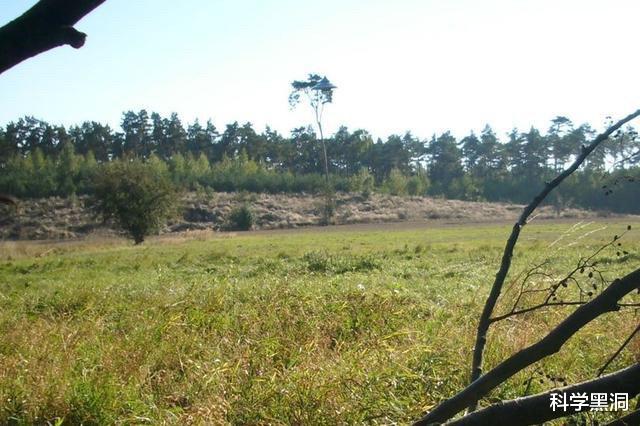 『UFO』男子野外拍下不明物体，为史上最清晰UFO影像，飞碟形状很明显