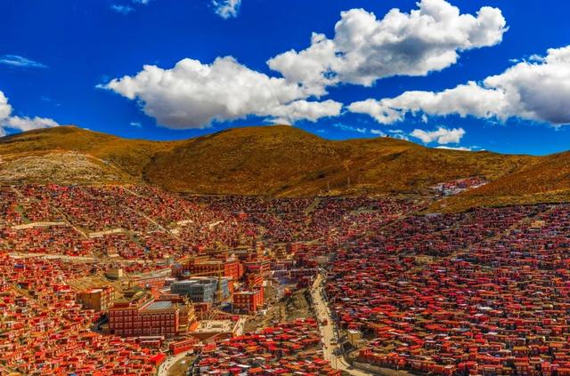 胡杨林|再过30天，全世界都要羡慕死中国了