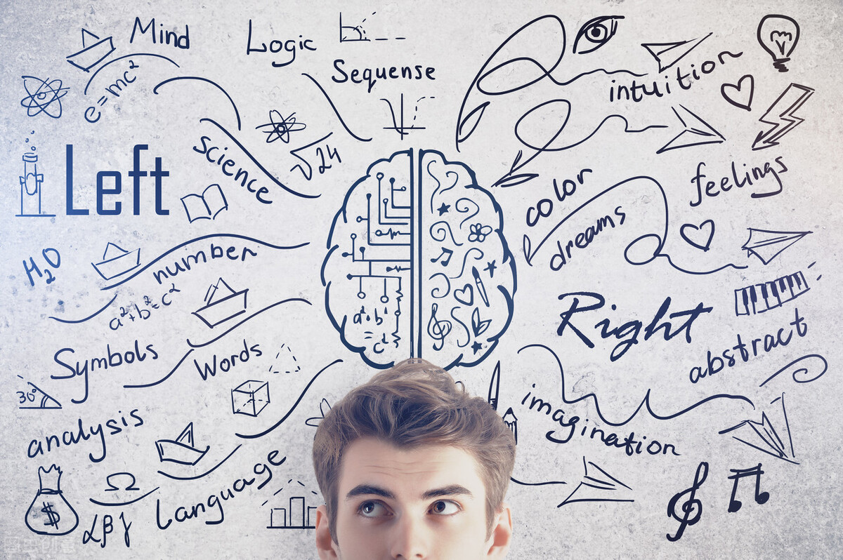 爱因斯坦|人类最复杂的器官---大脑