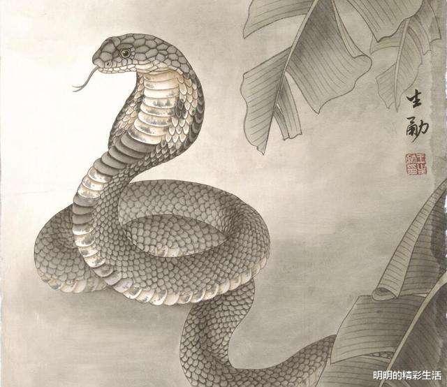 生肖|蛇蛇人：最近一月，紫气东来，财运红得发紫，做梦都能笑醒