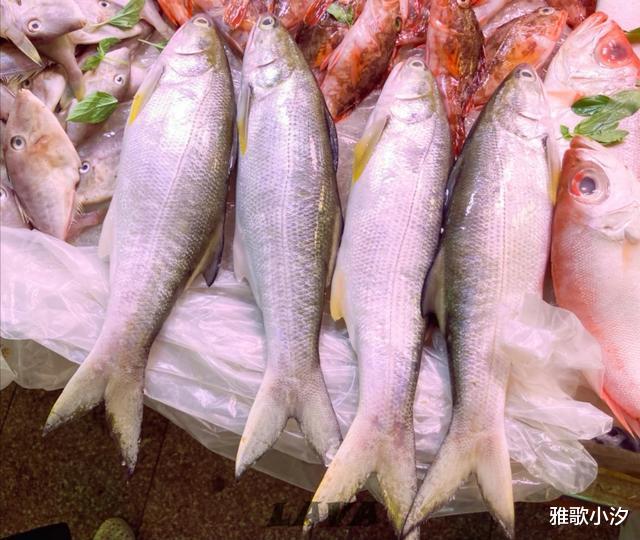 海鱼|这种鱼“中国独有”，被渔民誉为最好吃的海鱼，常被误以为是马鲛