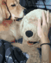 小姐姐|同事穿成这样约我出来钓鱼,我天下来一条没有钓到,光顾看她的纹身了