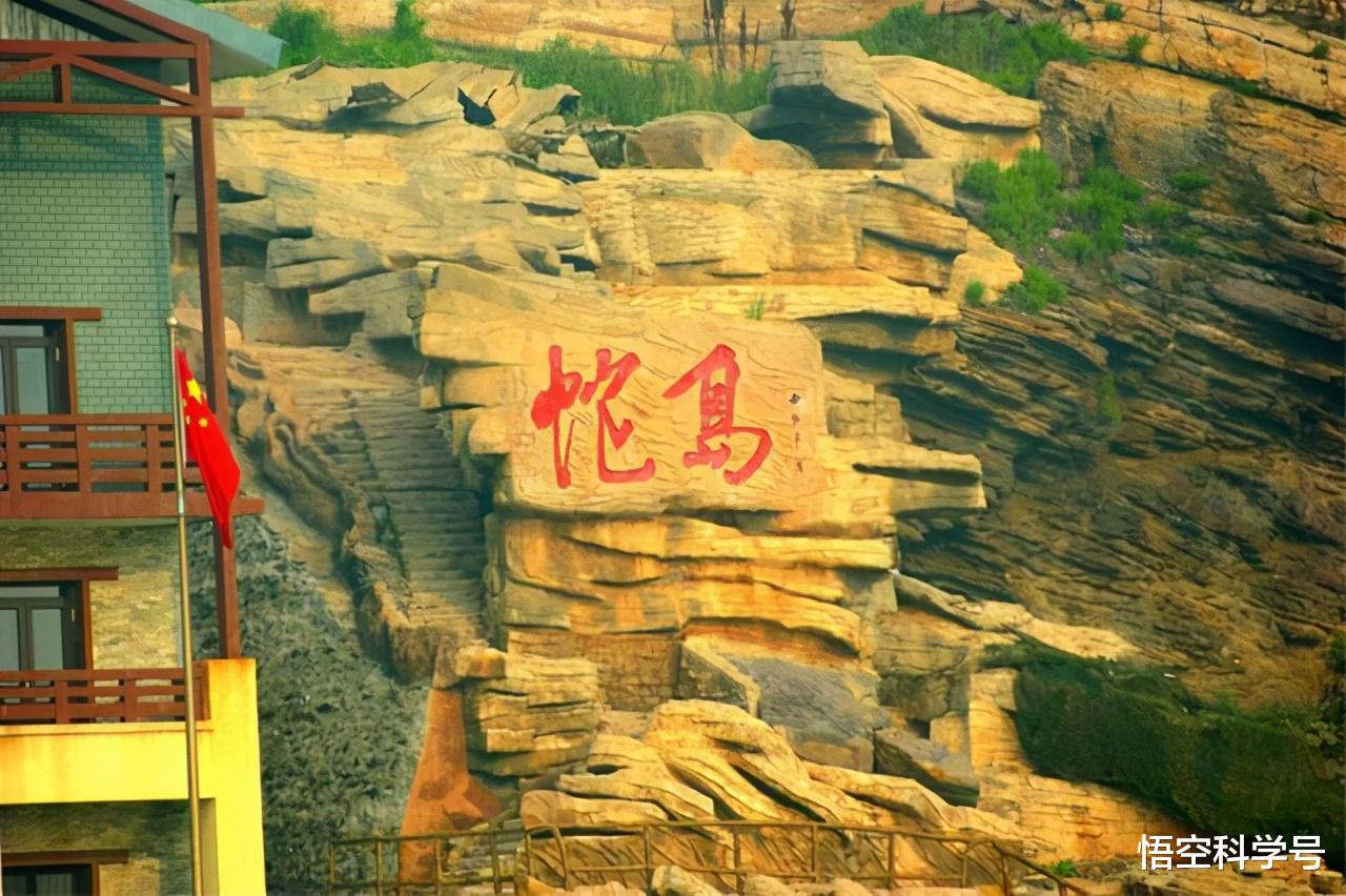 蟒蛇|蛇最怕什么药会闻到就跑?哪里蛇最多?