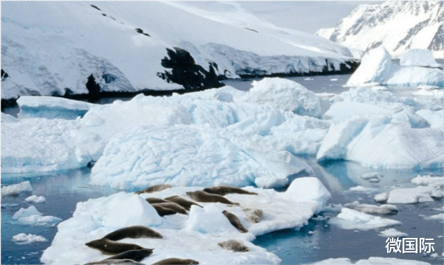 霍金|霍金生前曾留3大预言,每条都发人深省,最后一条只在电影中出现