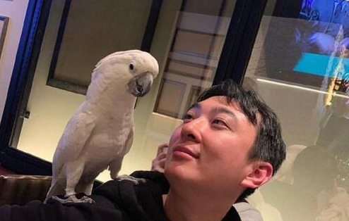 王健林|8000亿负债仍不亡，昔日首富“王者归来”，积极转型，不久后将重现辉煌