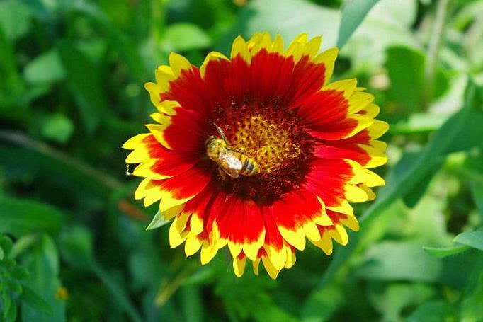 「运势」6月开始运势由衰转旺,好运连连,事业一鸣惊人的生肖