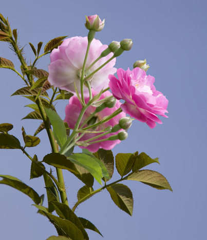 |未来一周，4属相好运进家，横财接二连三，日子越过越舒心