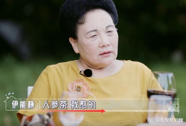 化妆师|别人都用人参煲汤喝,得知伊能静的人参用途,贫穷限制了我的想象