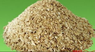 ：垂钓草鱼该用什么饵料