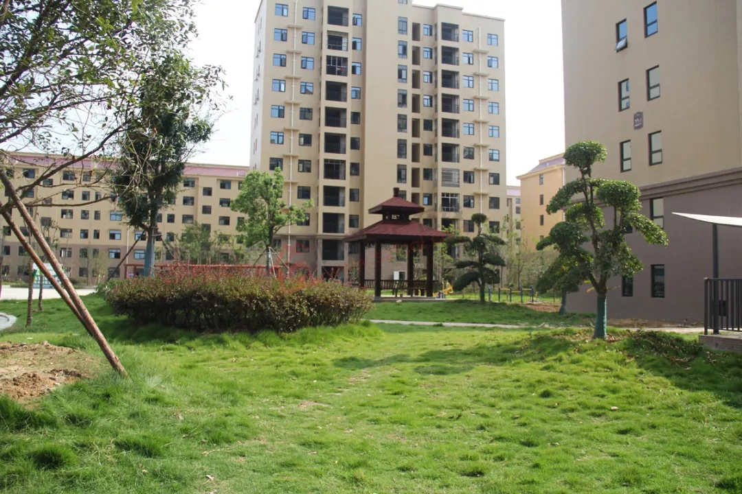 2020年谯城公租房申请3号开始！申请流程看过来