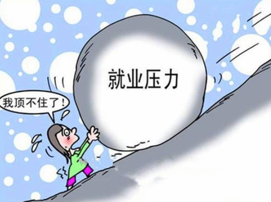 程序员|35岁失业程序员感叹：曾经月薪2万，现在找月薪5千专员工作都没人要