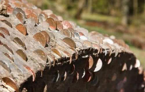 「」现实中的“摇钱树”,浑身长满了硬币,为何至今无人敢拿走