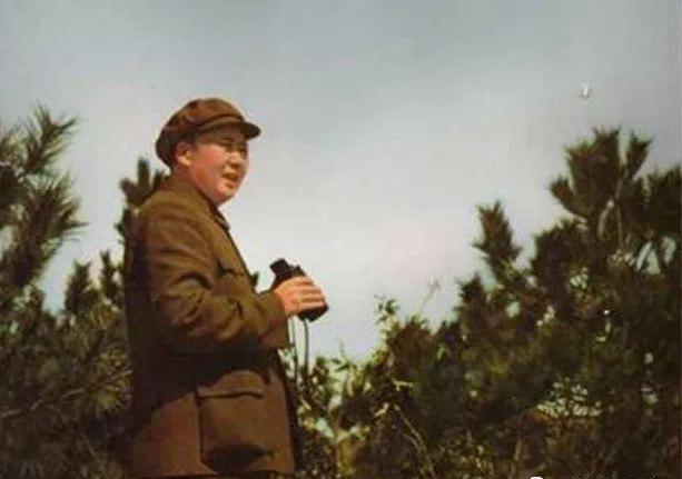 林彪|由谁到东北主持军事,刘少奇举了三个人,毛主席为何最看好林彪?