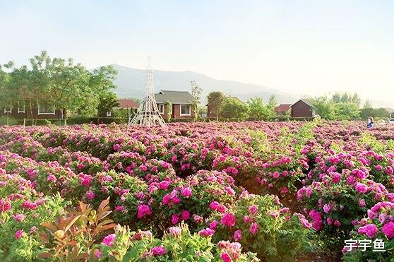 运势|8月下旬起，惊喜不断，4属相逢凶化吉，如鱼得水，生活步步富贵