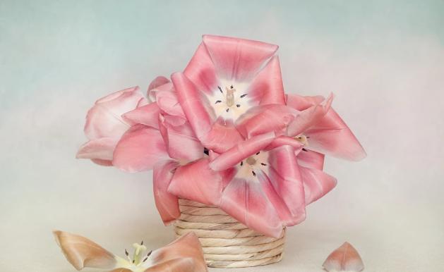 生肖|9月中旬，迎来开心事，好运找上门，4生肖事业称心，有福有财